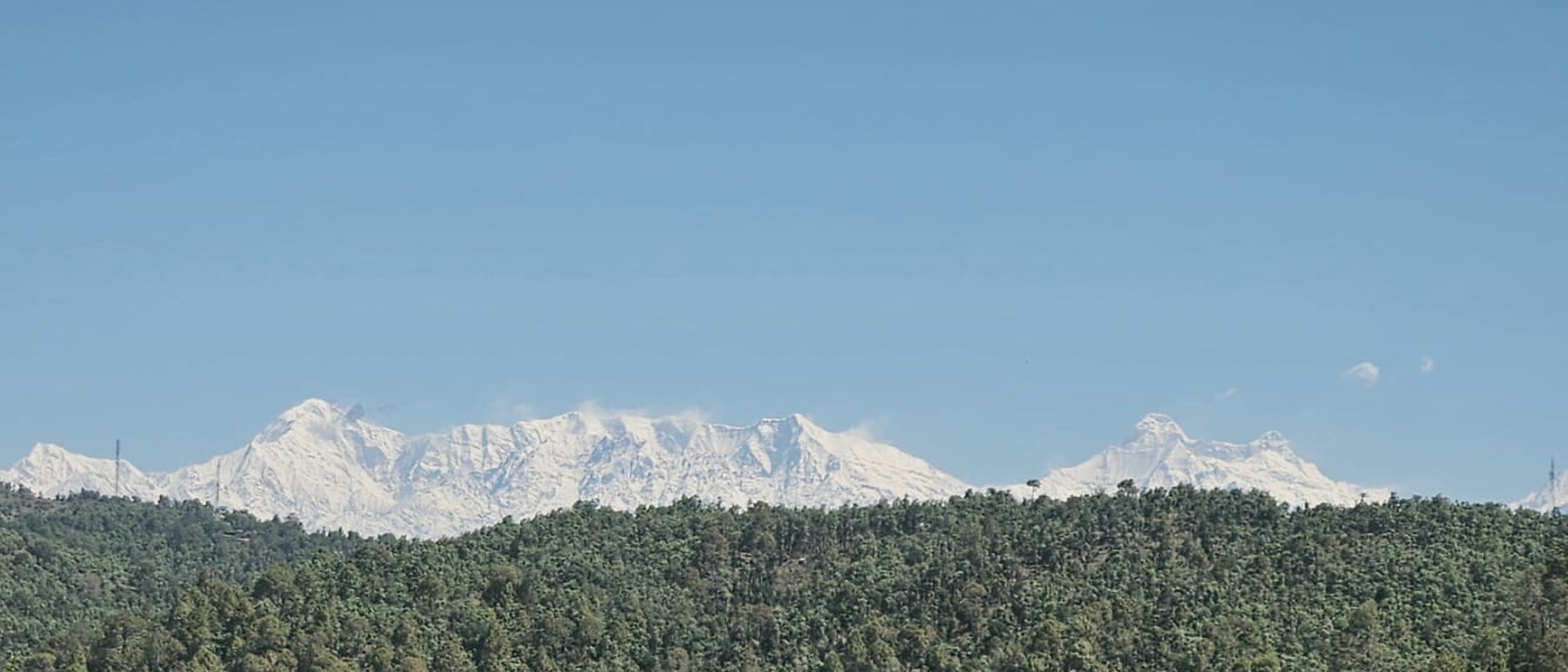 The Himalayan snow line above dense forest, seen from the ashram ridge